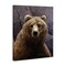 Stupell Industries Surprised Bear Portrait Canvas Wall Art Design by Rod Lawrence